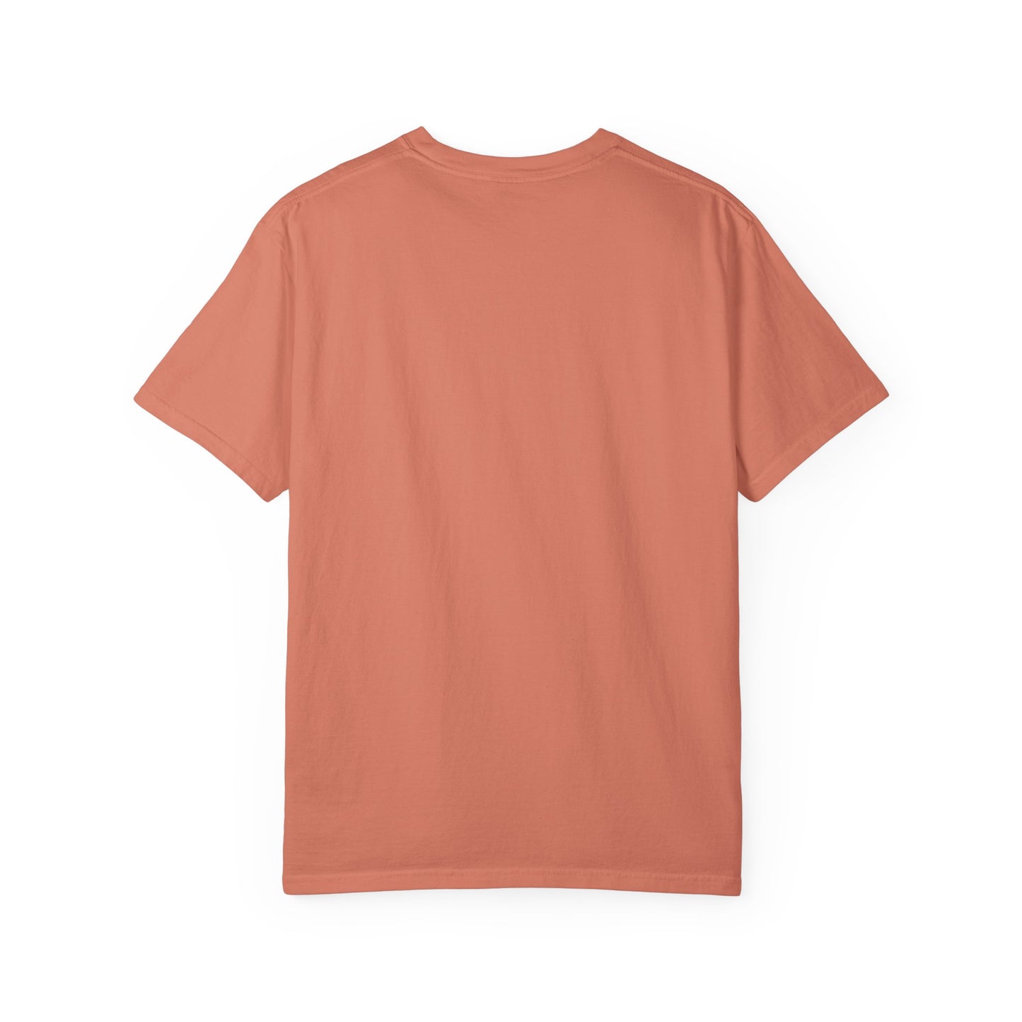 John 3:16 T-Shirt (comfort colors)