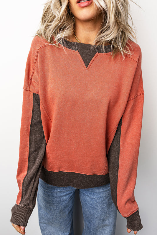 Flamingo Patchwork Colorblock Long Sleeve Vintage Regular Fit Sweatshirt