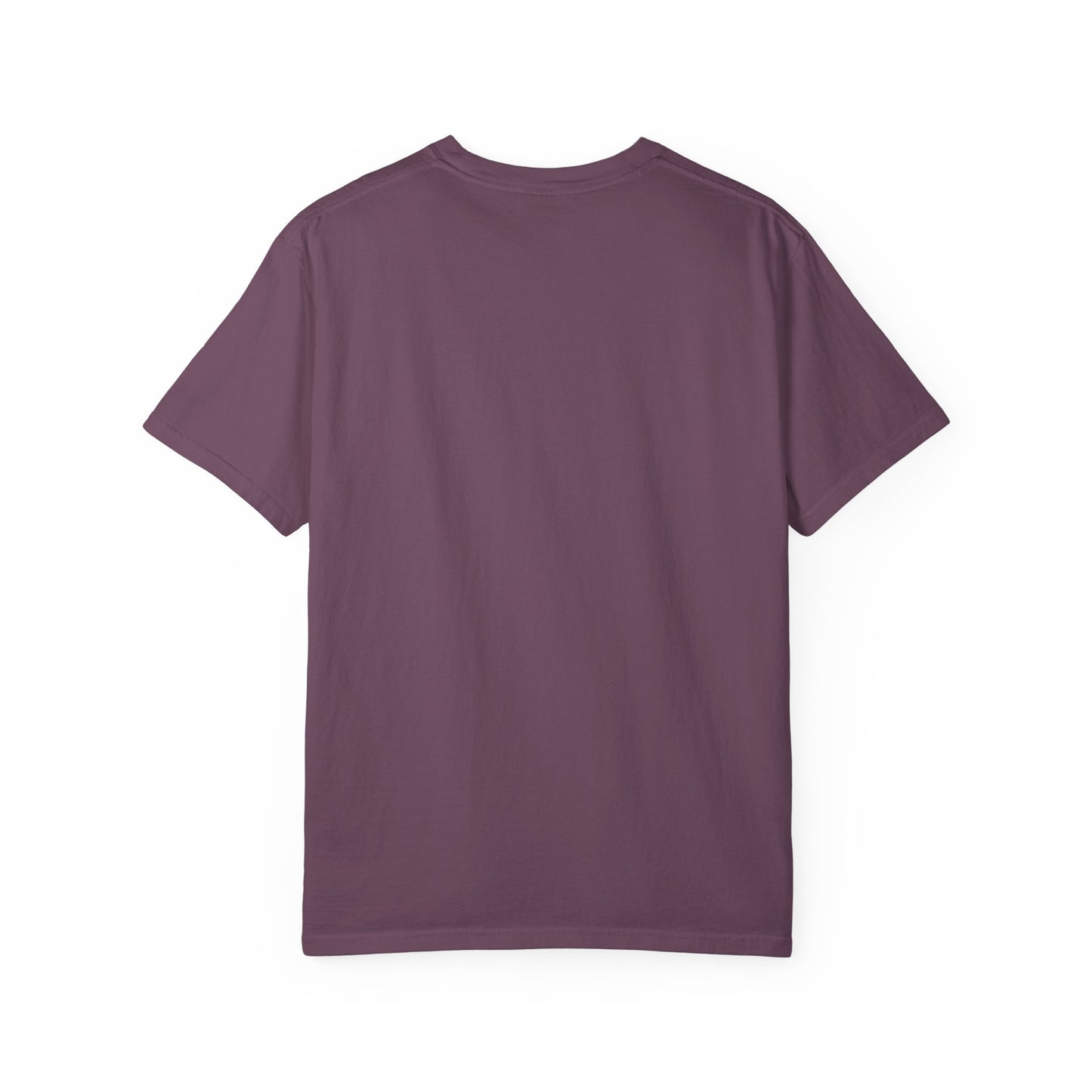 John 3:16 T-Shirt (comfort colors)