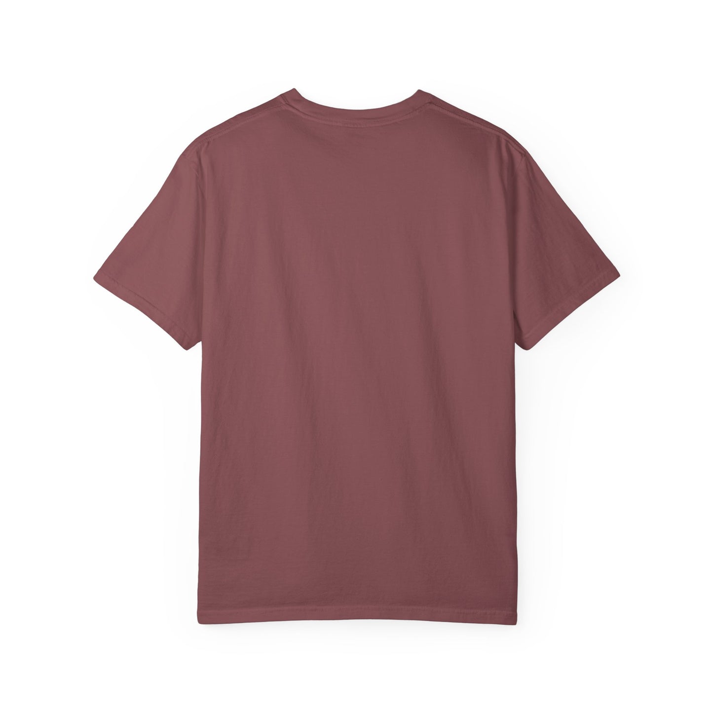 John 3:16 T-Shirt (comfort colors)