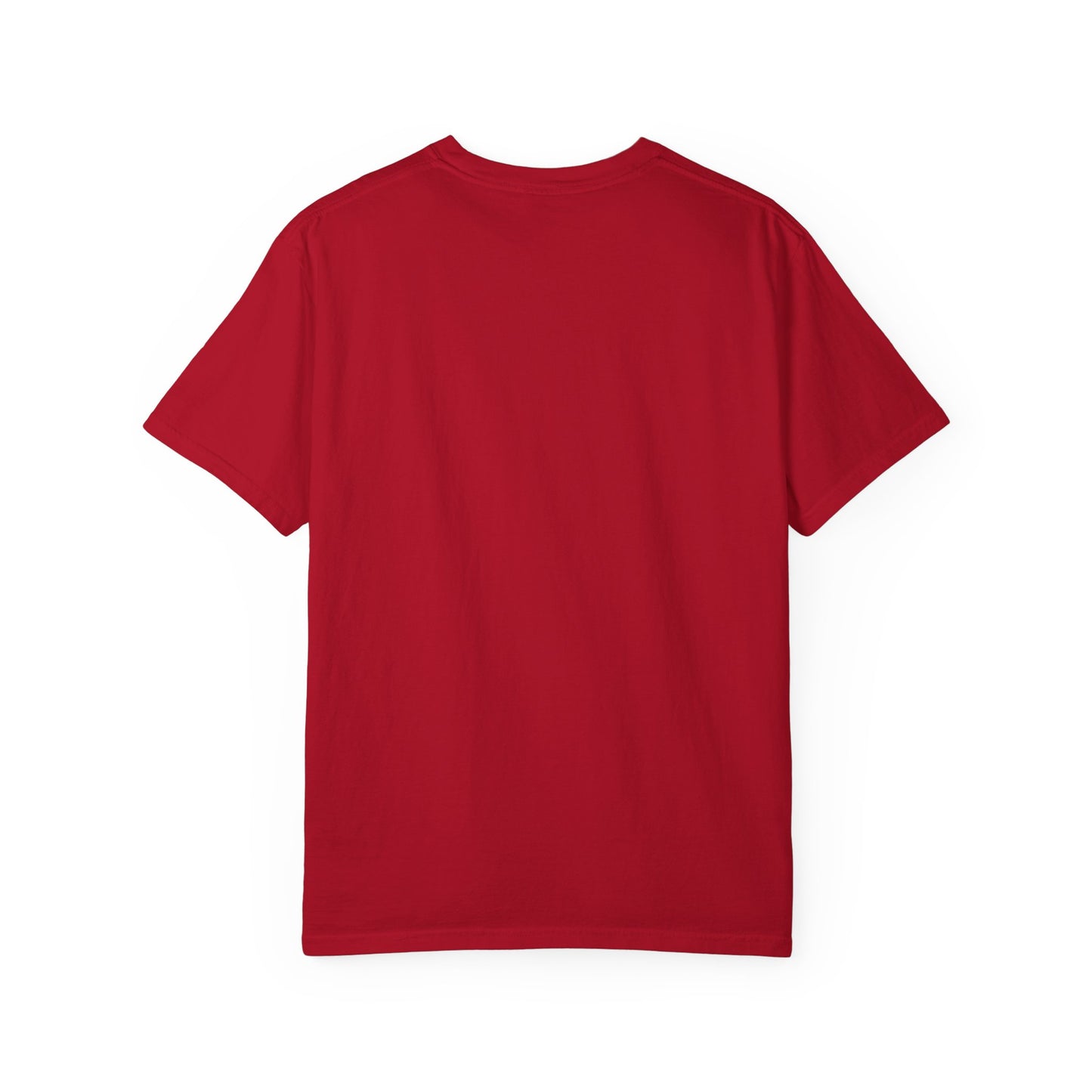 John 3:16 T-Shirt (comfort colors)